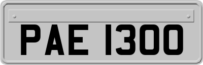 PAE1300