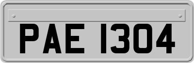 PAE1304