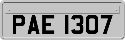 PAE1307