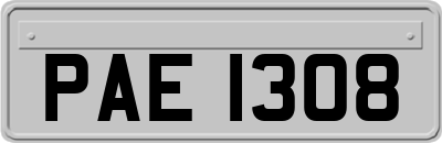 PAE1308