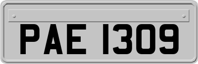 PAE1309