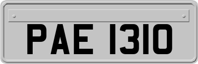 PAE1310