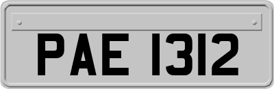 PAE1312