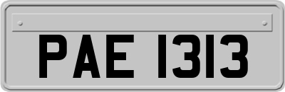 PAE1313