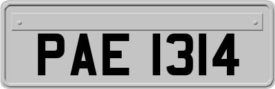 PAE1314