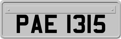 PAE1315