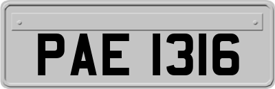 PAE1316