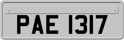 PAE1317