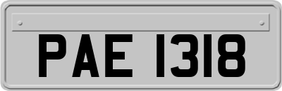 PAE1318