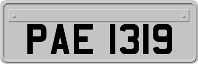 PAE1319