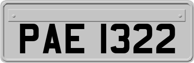 PAE1322