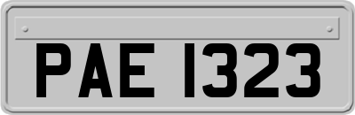 PAE1323