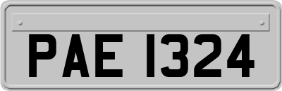 PAE1324