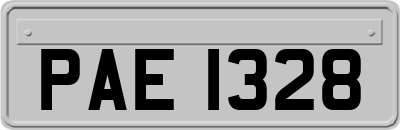 PAE1328