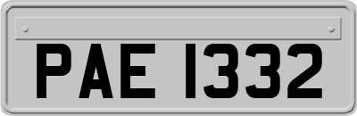 PAE1332
