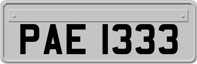 PAE1333