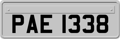 PAE1338