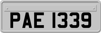 PAE1339
