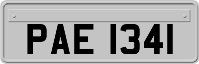 PAE1341