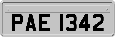 PAE1342