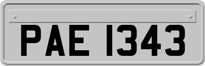PAE1343
