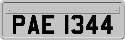 PAE1344