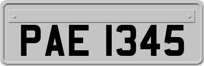 PAE1345