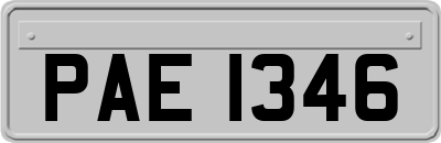 PAE1346