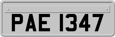 PAE1347