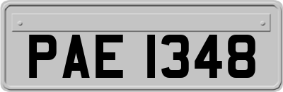 PAE1348