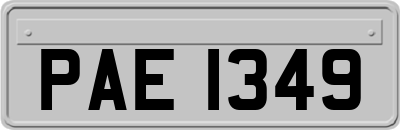PAE1349