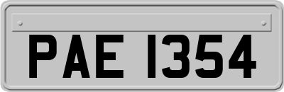 PAE1354