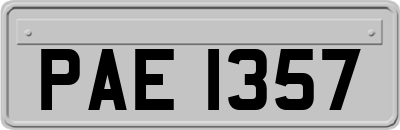 PAE1357