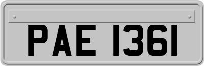PAE1361