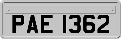 PAE1362