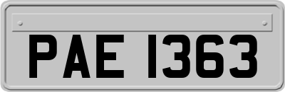 PAE1363