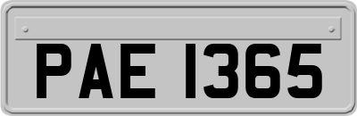 PAE1365