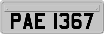 PAE1367