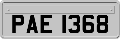 PAE1368