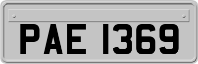 PAE1369