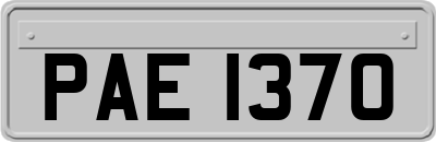 PAE1370