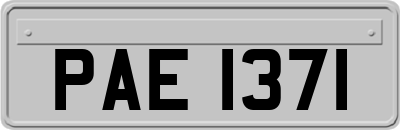 PAE1371