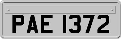 PAE1372