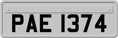 PAE1374