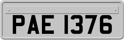 PAE1376
