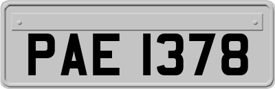 PAE1378