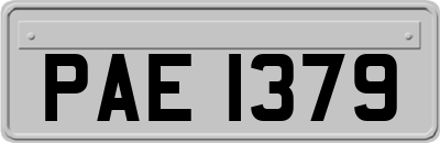 PAE1379
