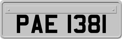 PAE1381