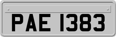 PAE1383