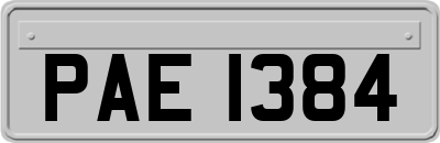 PAE1384